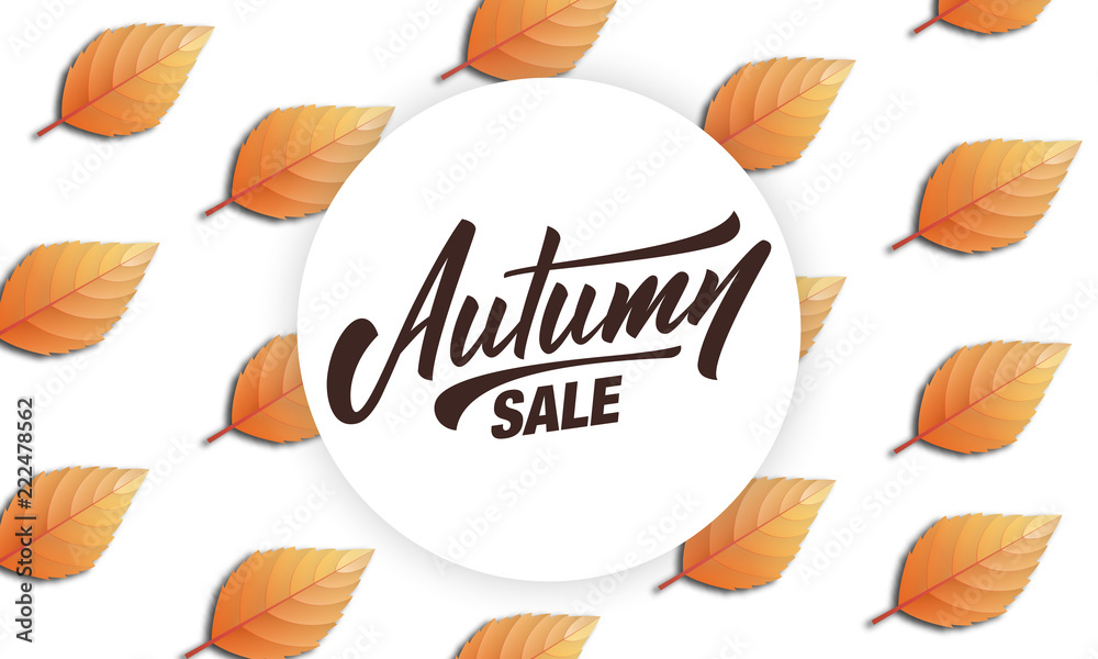Autumn sale banner. Autumnal design with lettering and leaves background