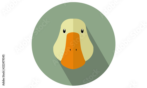 Duck head vector flat isolated icon- illustration for web and mobile