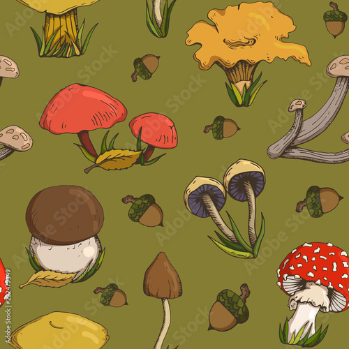 seamless pattern with forest mushrooms and acorns