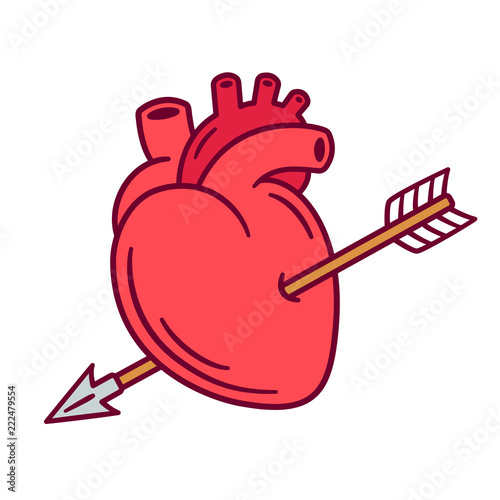 Realistic heart with arrow
