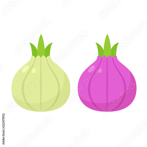 White and red onion