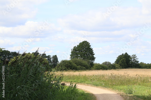 Im Bereich der Flußlandschaft der Hamme im Sommer in der Umgebung von Worpswede