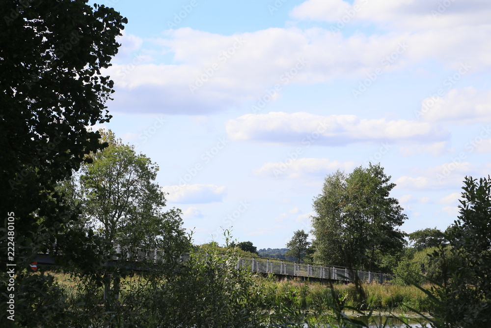 Im Bereich der Flußlandschaft der Hamme im Sommer in der Umgebung von Worpswede