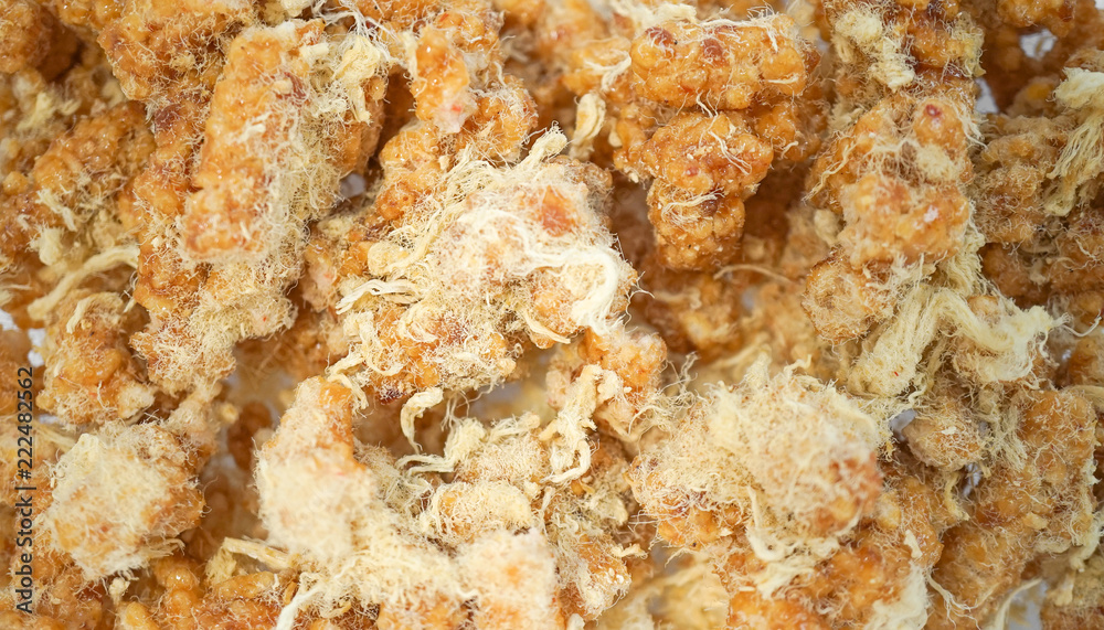 Thai Crispy Rice Cracker. A closed up texture of Khaotan, a common snack from Thailand mixed with dried shredded pork. Thai Crispy Rice Cracker. A closed up texture of Khaotan, a common snack from Thailand mixed with dried shredded pork.