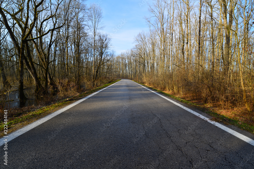 Fototapeta premium Long Road