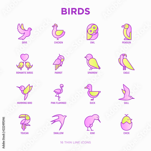 Birds thin line icons set: dove, owl, penguin, sparrow, swallow, kiwi, parrot, eagle, humming bird, pink flamingo. Modern vector illustration.