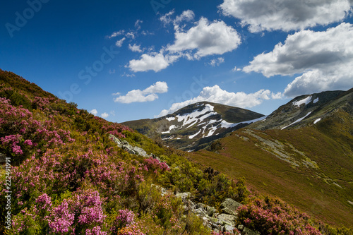 Spring in Ancares mountains photo