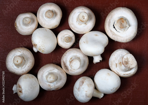 mushrooms champignons on a dark table