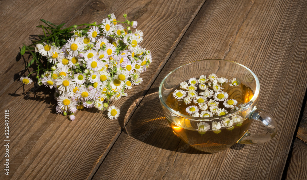 cup of herbal tea with chamomile flowers on a wooden table cup of herbal tea with chamomile flowers on a wooden table