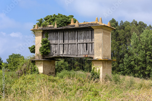 Spain, Galicia: Typical Galician granary (Horreo) in wood and stone, raised from the ground by pillars ending in flat staddle stones with blue sky in the background - concept agriculture grain crop photo