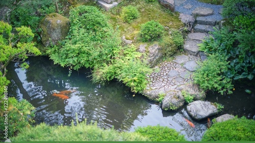 jardin japonais