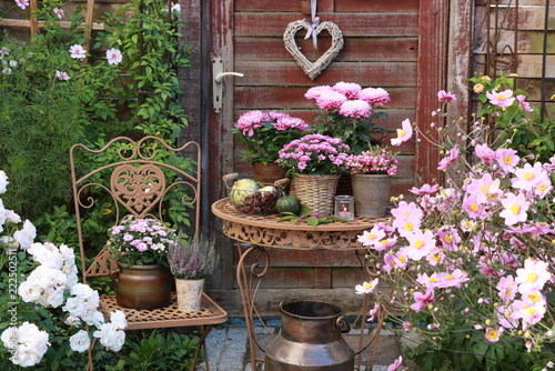 Fototapeta Naklejka Na Ścianę i Meble -  garden scene with autumn flowers in purple