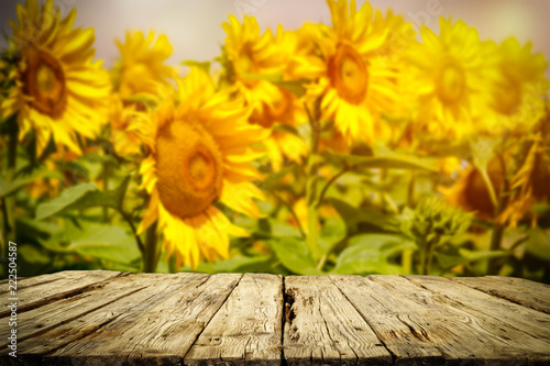 Fototapeta Naklejka Na Ścianę i Meble -  beautiful sunflowers and an old wooden table  