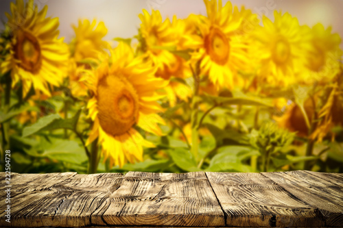 Fototapeta Naklejka Na Ścianę i Meble -  beautiful sunflowers and an old wooden table  
