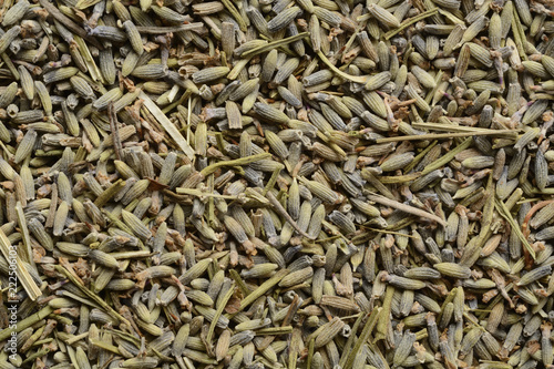 Lavanda, composición como fondo