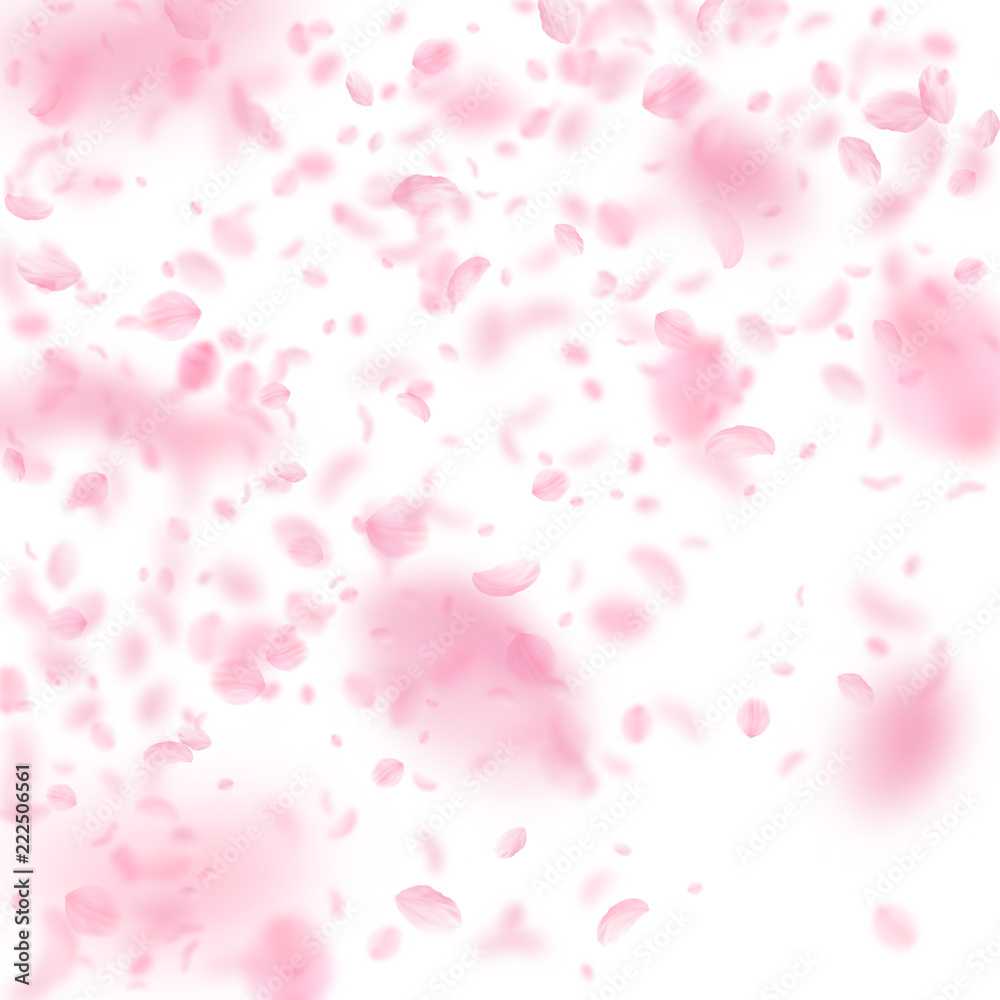 Sakura petals falling down. Romantic pink flowers gradient. Flying petals on white square background Sakura petals falling down. Romantic pink flowers gradient. Flying petals on white square background