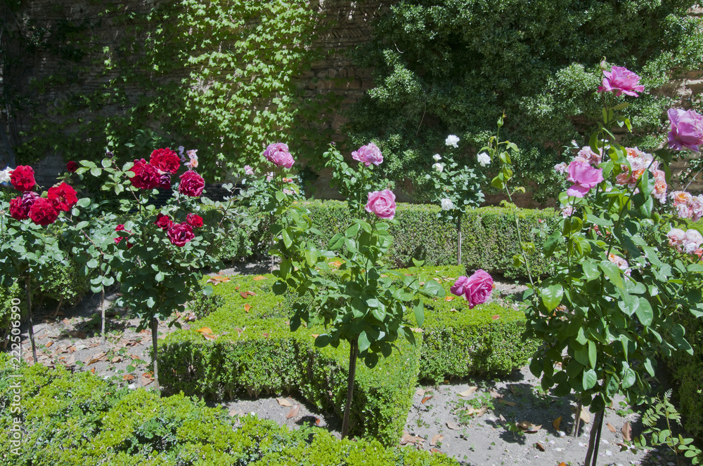 Rosengarten, Alhambra, Granada, Andalusien, Spanien