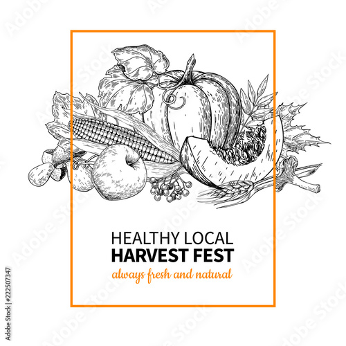 Harvest festival. Hand drawn vintage vector illustration with group of vegetables, fruits, leaves. Farm Market