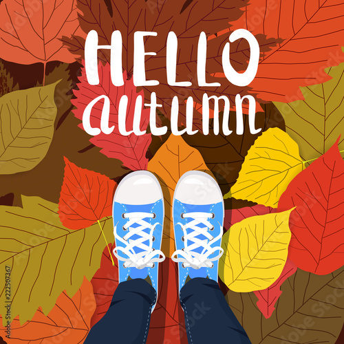 Hello autumn color illustration. Person feet standing in sneakers on yellow, red, green fallen leaves. Hand drawn lettering. Early fall postcard. Walk in park. Autumn time vector cartoon banner