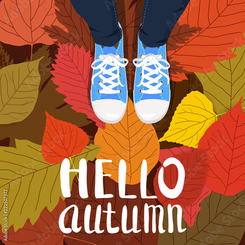 Hello autumn color illustration. Person feet standing in sneakers on yellow, red, green fallen leaves. Hand drawn lettering. Early fall postcard. Walk in park. Autumn time vector cartoon banner