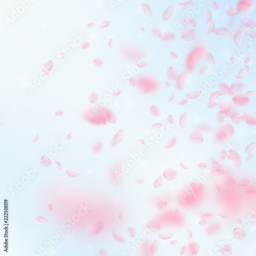 Sakura petals falling down. Romantic pink flowers gradient. Flying petals on blue sky square backgro