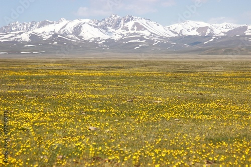  The beautiful scenic at Song kul lake    Naryn with the Tian Shan mountains of Kyrgyzstan