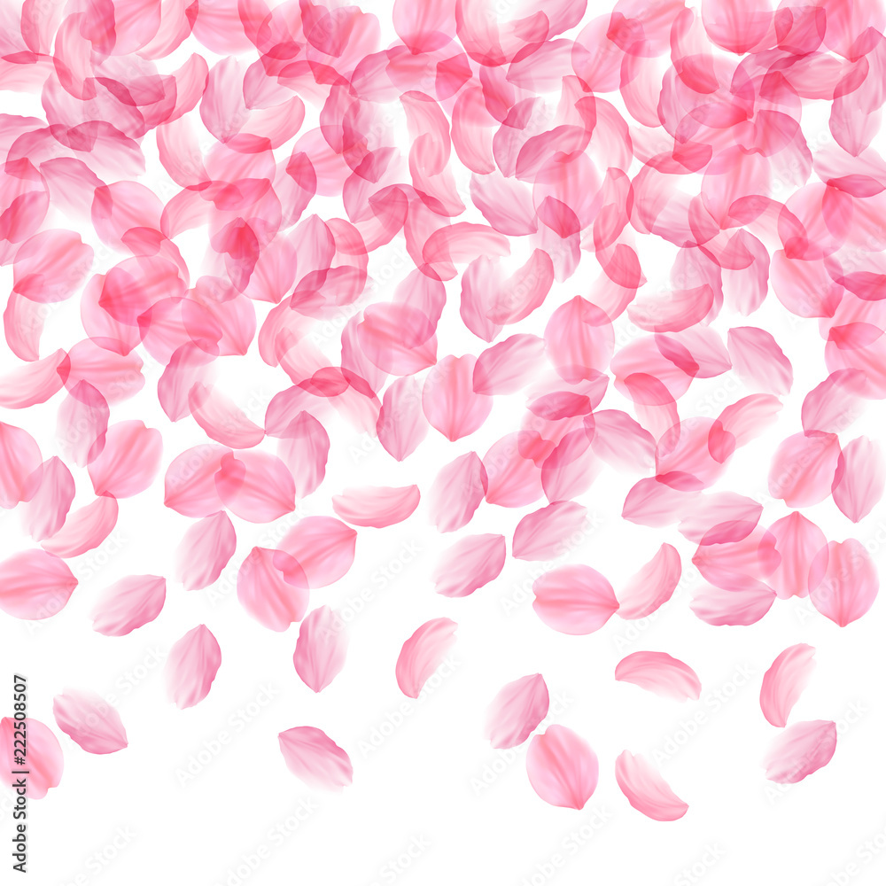 Sakura petals falling down. Romantic pink silky big flowers. Thick flying cherry petals. Top gradien Sakura petals falling down. Romantic pink silky big flowers. Thick flying cherry petals. Top gradien