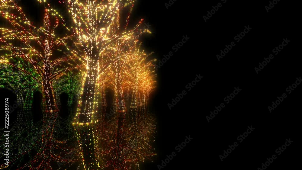 Neon Tree illumination. Neon Tree illumination.