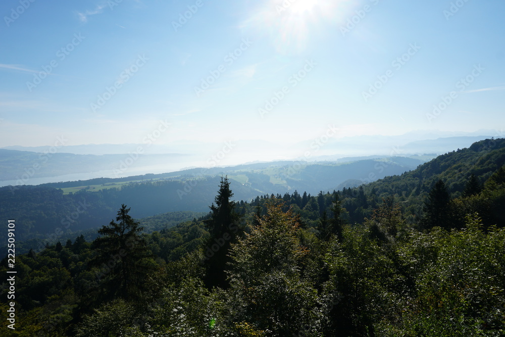 Fototapeta premium view from a mountain