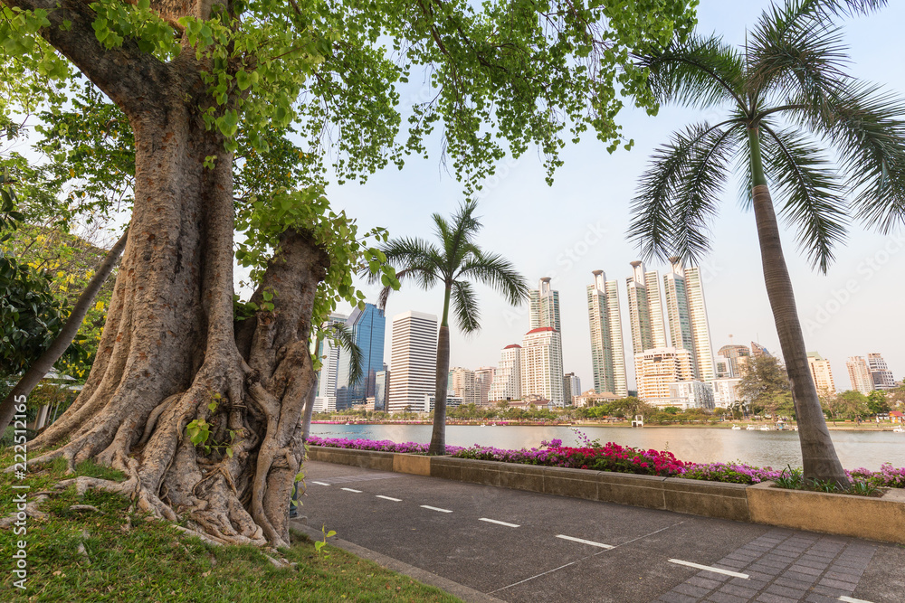 Big tree, jogging track and a lake at the Benjakiti (Benjakitti) Park and skyscrapers in Bangkok, Thailand, in the morning.