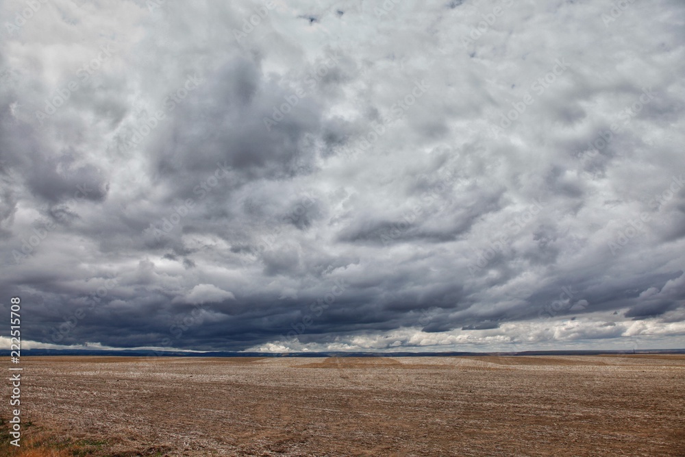 Storm on the Palouse