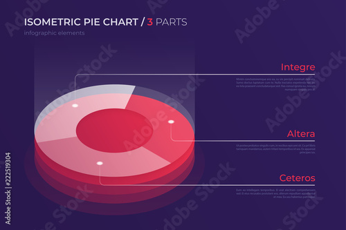Vector isometric pie chart design, modern template for creating 