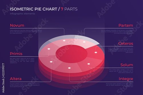 Vector isometric pie chart design, modern template for creating 