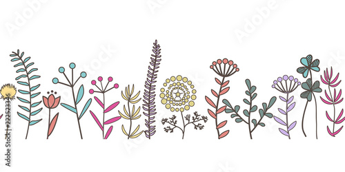 Vector hand drawn flower and plant seamless pattern.