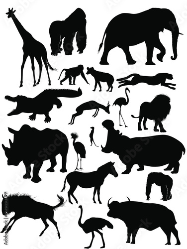 wild animals silhouettes