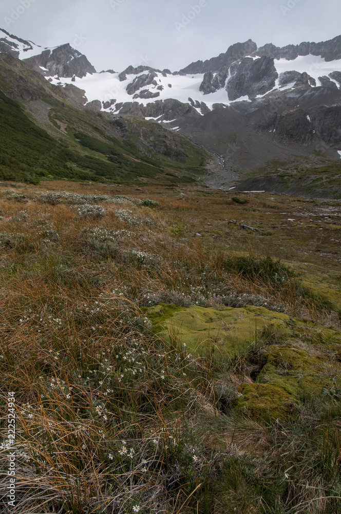 Landscapes of Tierra del Fuego