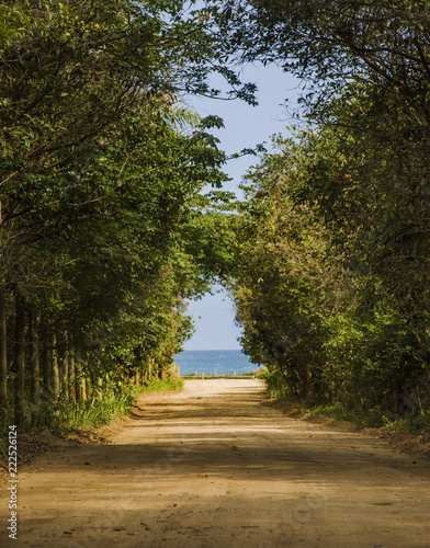Caminho para a praia