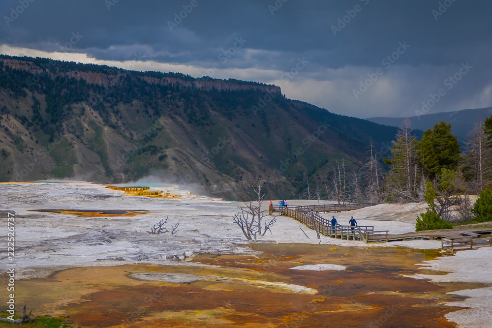 Sideways view of Canary Spring and terraces in the Mammoth Hot Spring area of Yellowstone National Park