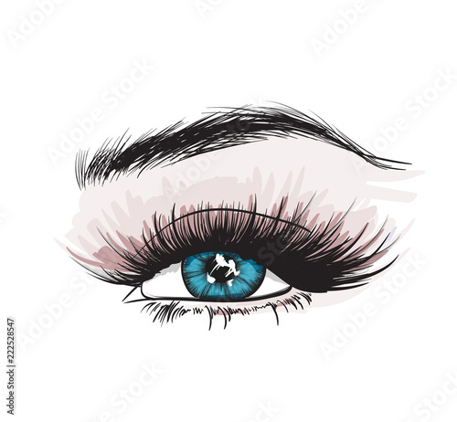 Hand-drawn woman's luxurious eye with perfectly shaped eyebrows and full lashes. Idea for business visit card, typography vector. Perfect salon look.