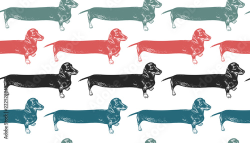 Dachshunds long dogs. Seamless pattern.