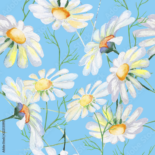 Fototapeta Naklejka Na Ścianę i Meble -  Stylized Daisies flowers illustration. watercolor