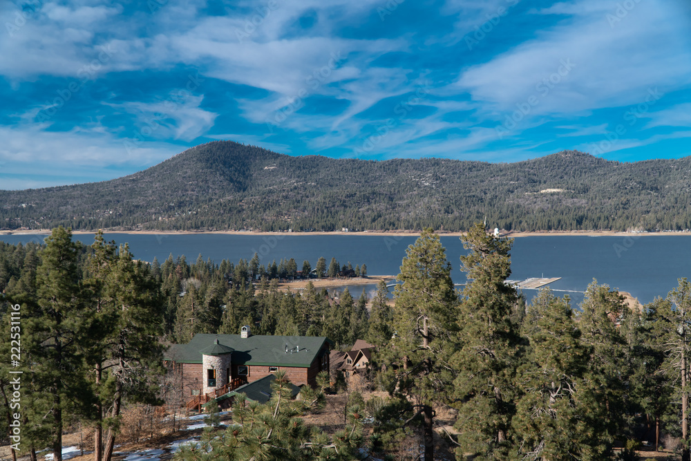 Fototapeta premium Big Bear