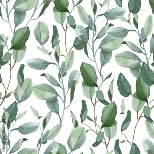 Tapety Bezszwowy wzór zielony eukaliptus opuszcza na białym tle