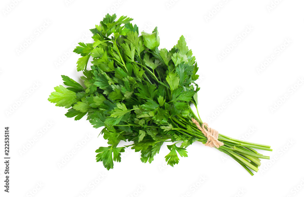 A bunch of parsley bandaged with a rope with a bow A bunch of parsley bandaged with a rope with a bow