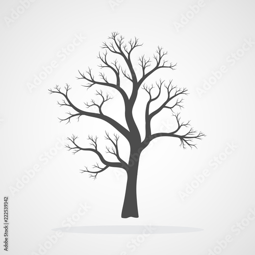 Tree icon. Vector illustration.