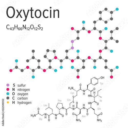Chemical formula, structure and model of the oxytocin molecule, vector illustration