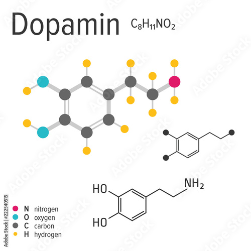 Chemical formula, structure and model of the dopamin molecule, vector illustration