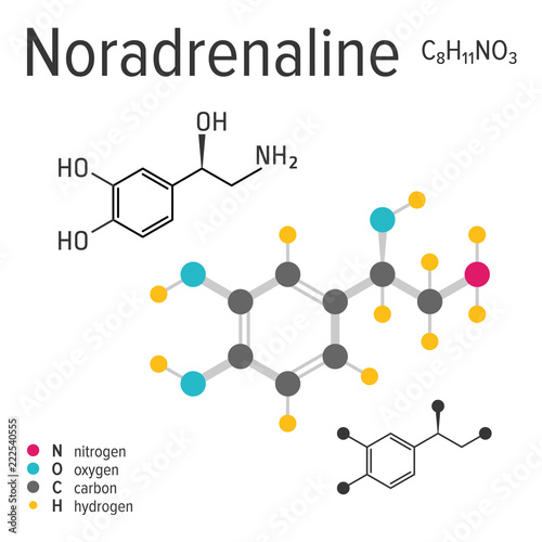 Chemical formula, structure and model of the noradrenaline molecule, vector illustration