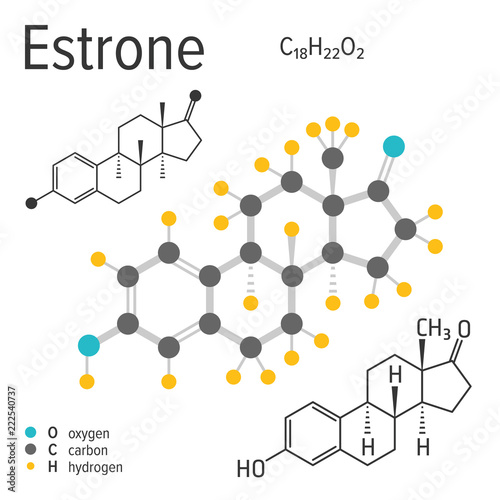 Chemical formula, structure and model of the estrone molecule, vector illustration