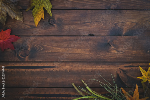 Wooden blank background with fall foliage 